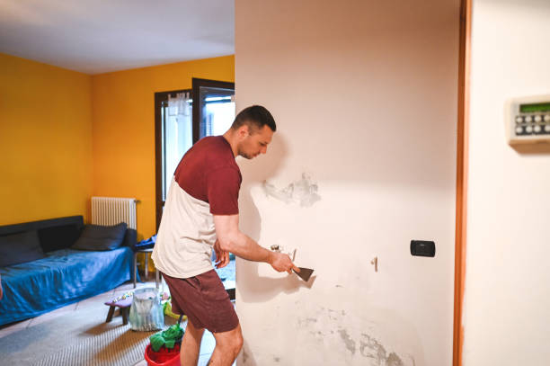 Reliable Willows, CA Mold Remediation Solutions